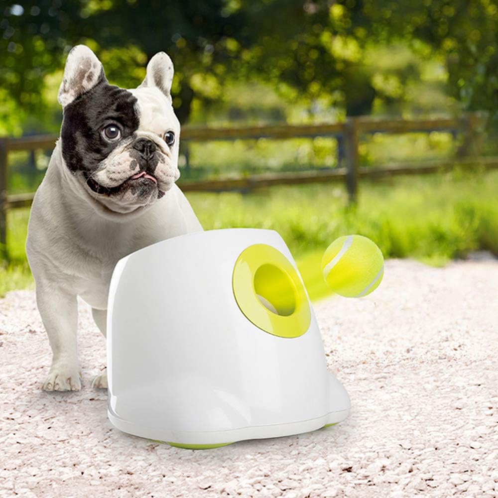 ALL FOR PAWS Automatic Dog Ball Launcher for Medium to Large Dogs