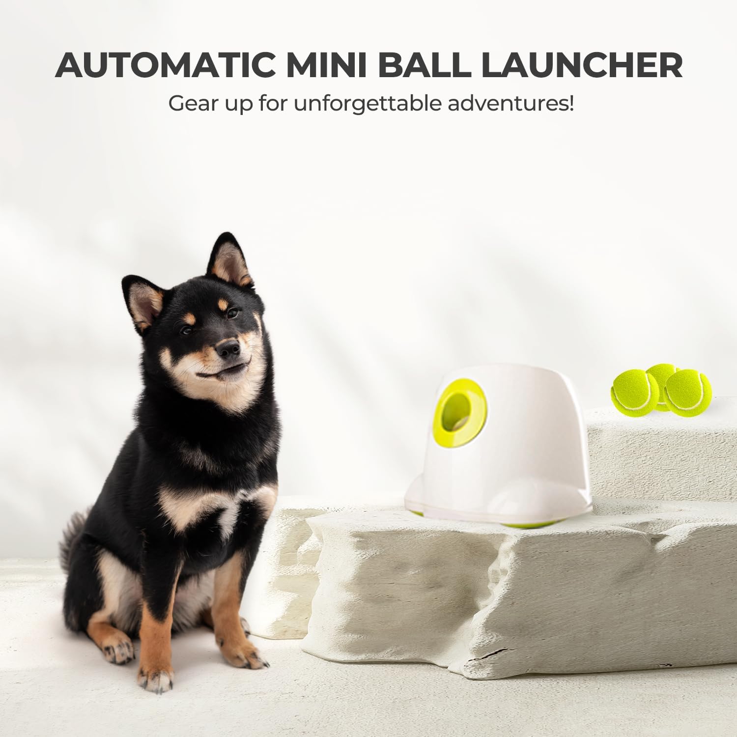 ALL FOR PAWS Automatic Dog Ball Launcher for Medium to Large Dogs