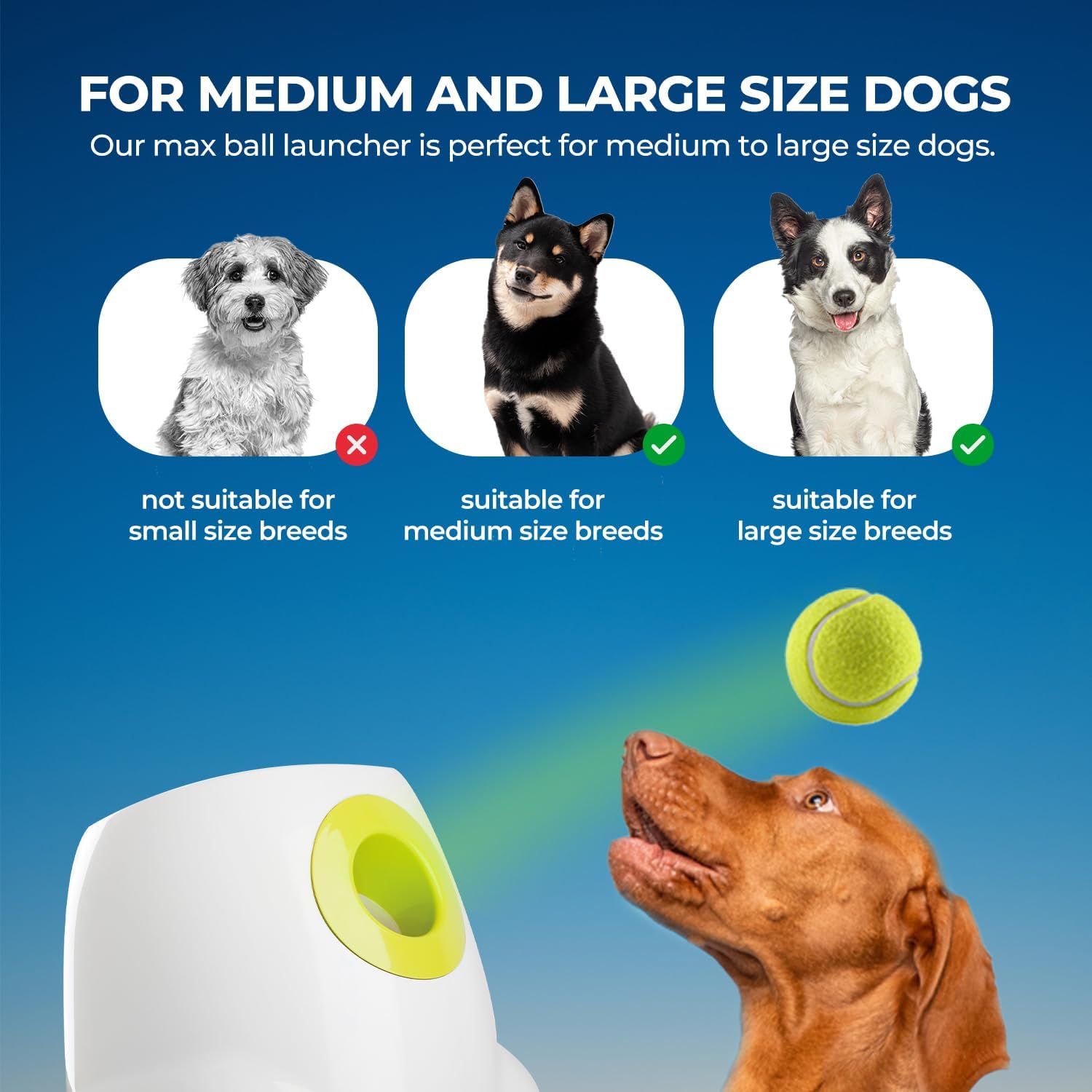 ALL FOR PAWS Automatic Dog Ball Launcher for Medium to Large Dogs