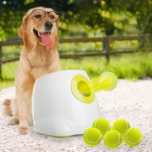 ALL FOR PAWS Automatic Dog Ball Launcher for Medium to Large Dogs